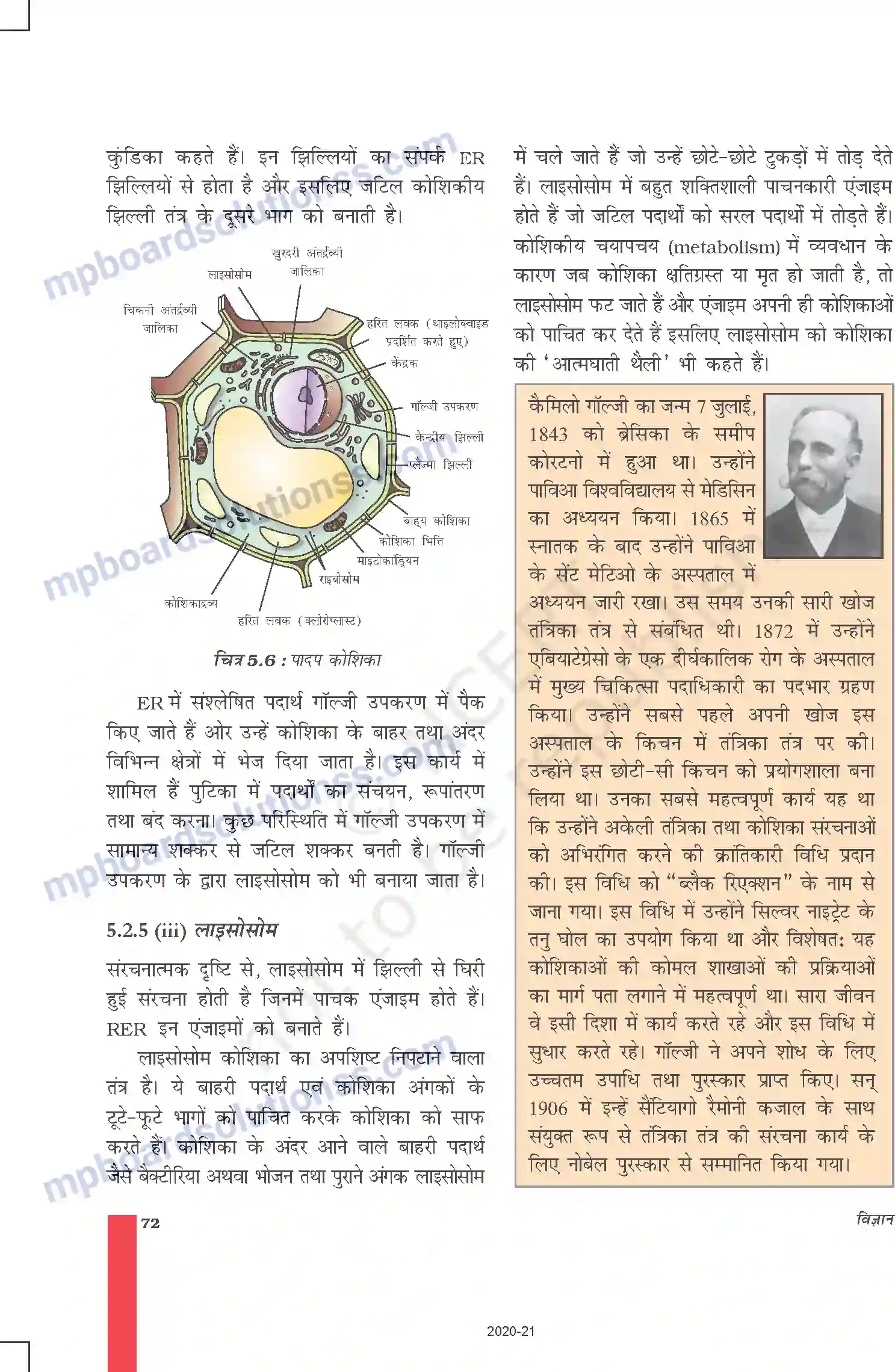 MP Board Book for Class 9 Science जीवन की मौलिक इकाई Image 9