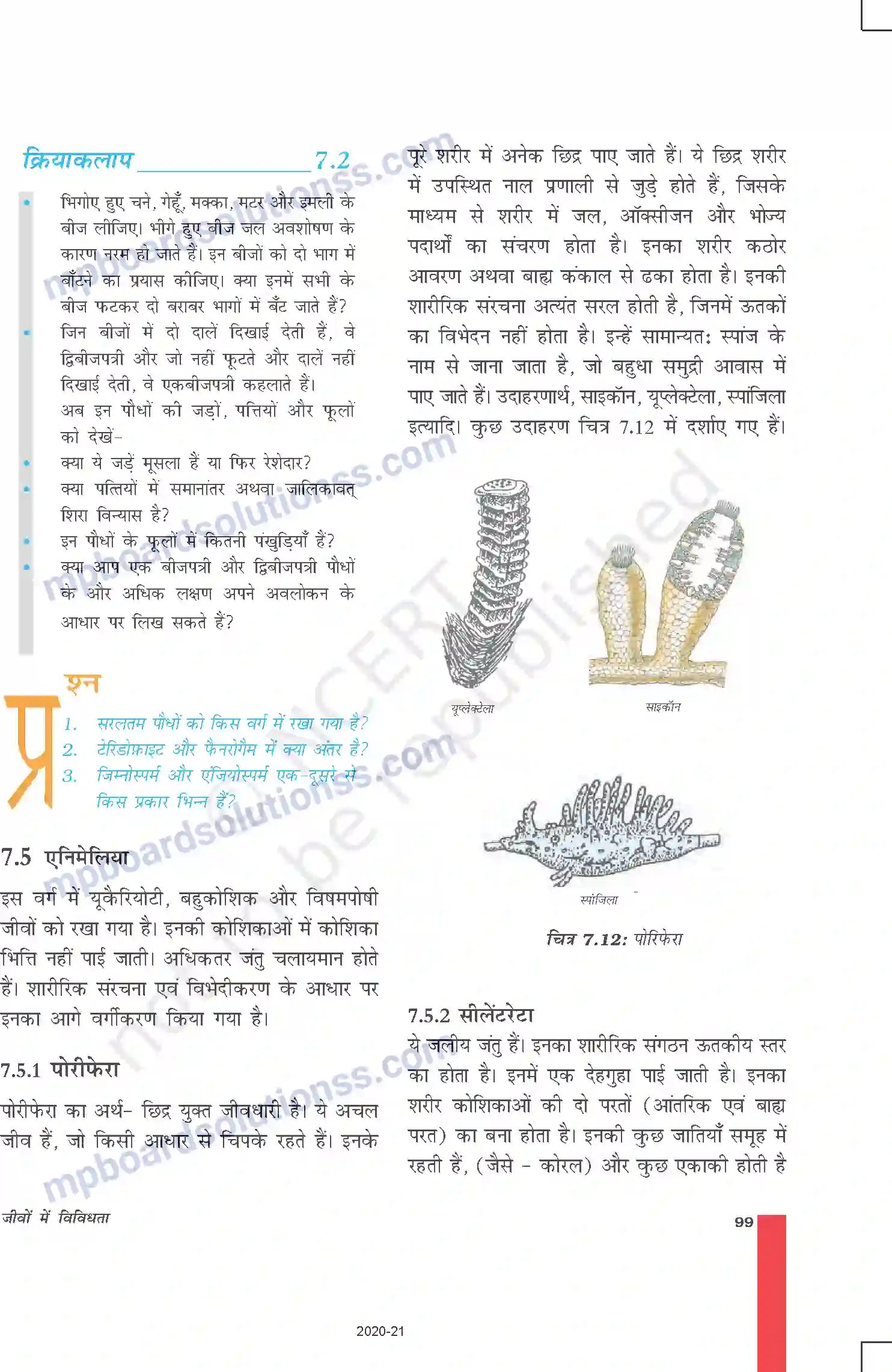 MP Board Book for Class 9 Science जीवों में विविधता Image 10
