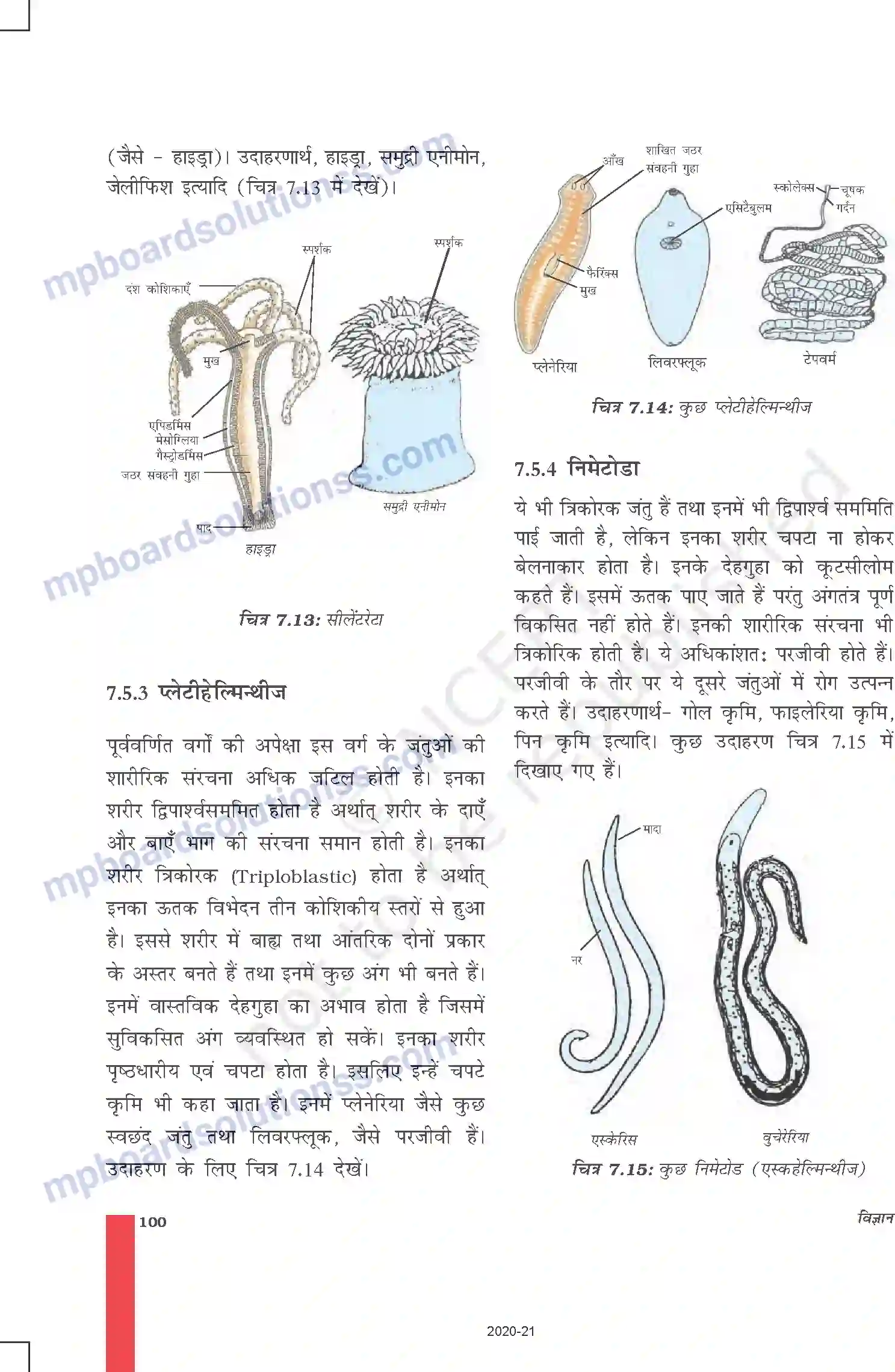 MP Board Book for Class 9 Science जीवों में विविधता Image 11