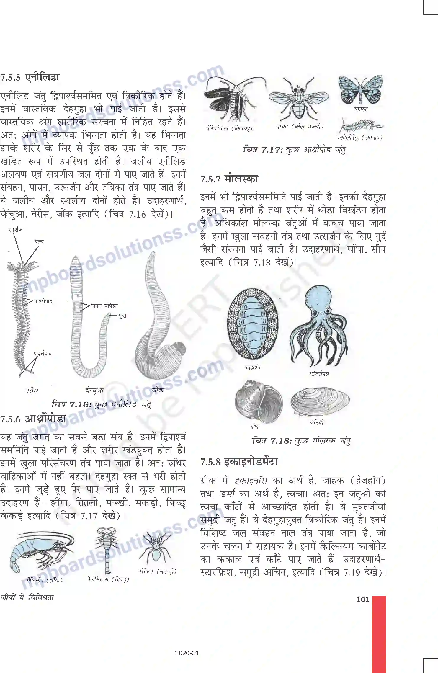MP Board Book for Class 9 Science जीवों में विविधता Image 12