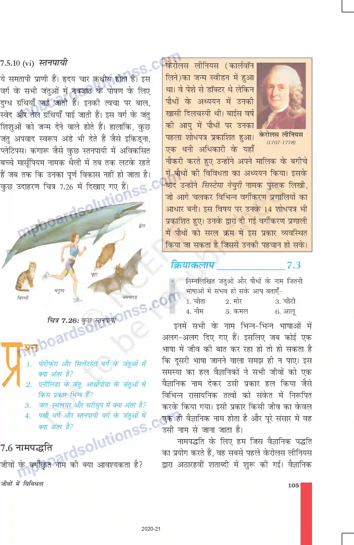 MP Board Book for Class 9 Science जीवों में विविधता Image 16