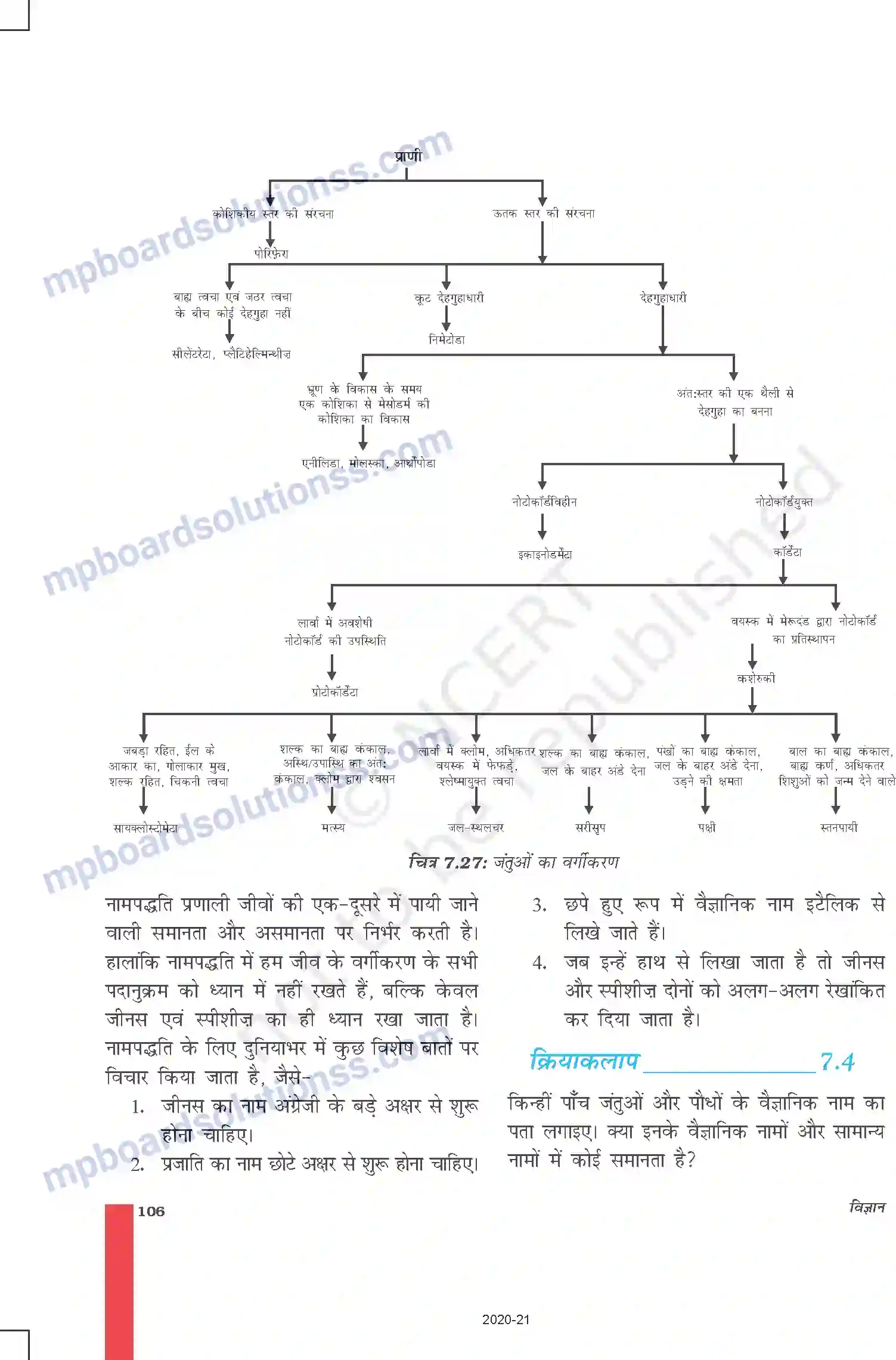 MP Board Book for Class 9 Science जीवों में विविधता Image 17