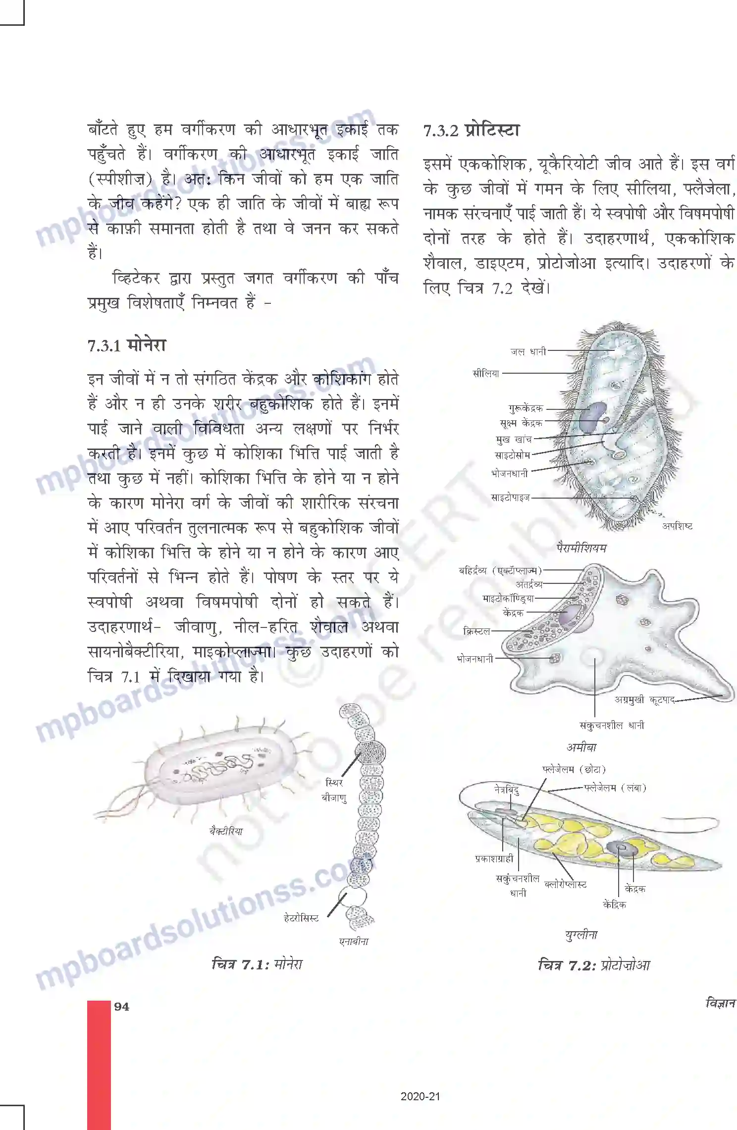 MP Board Book for Class 9 Science जीवों में विविधता Image 5
