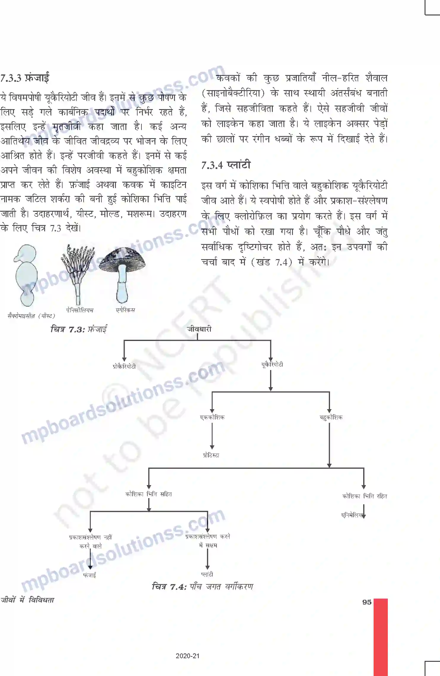 MP Board Book for Class 9 Science जीवों में विविधता Image 6