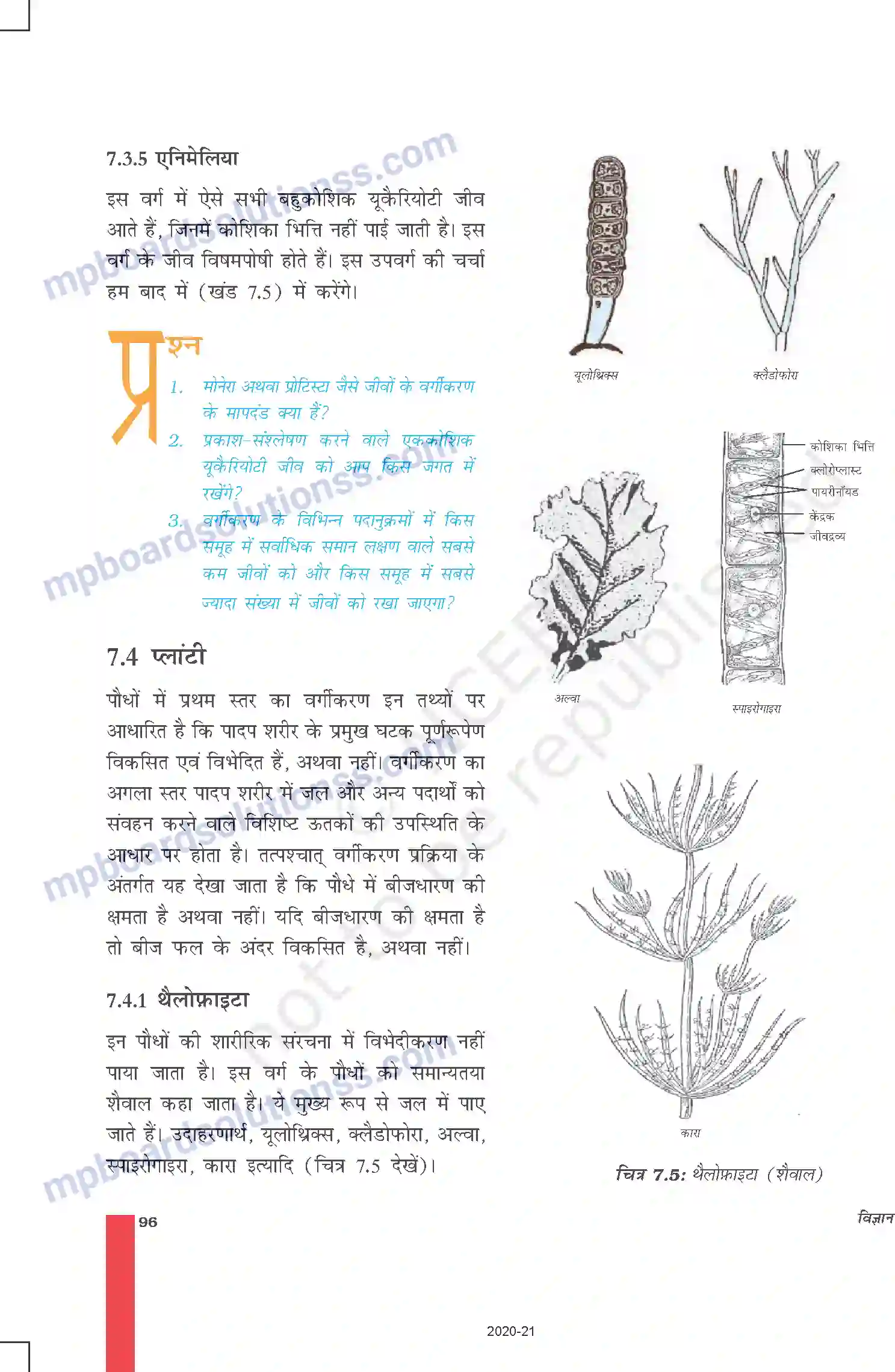 MP Board Book for Class 9 Science जीवों में विविधता Image 7