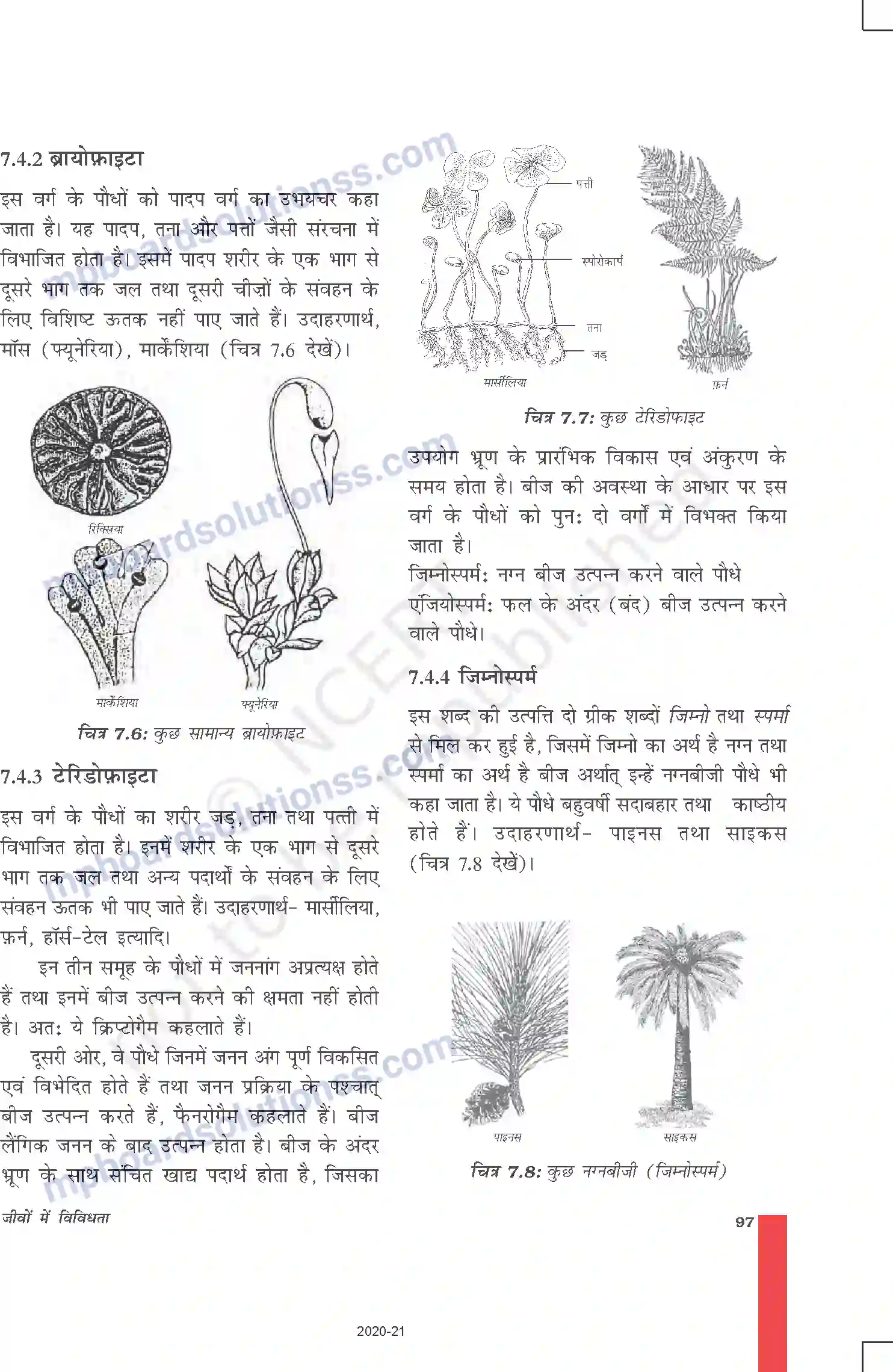 MP Board Book for Class 9 Science जीवों में विविधता Image 8