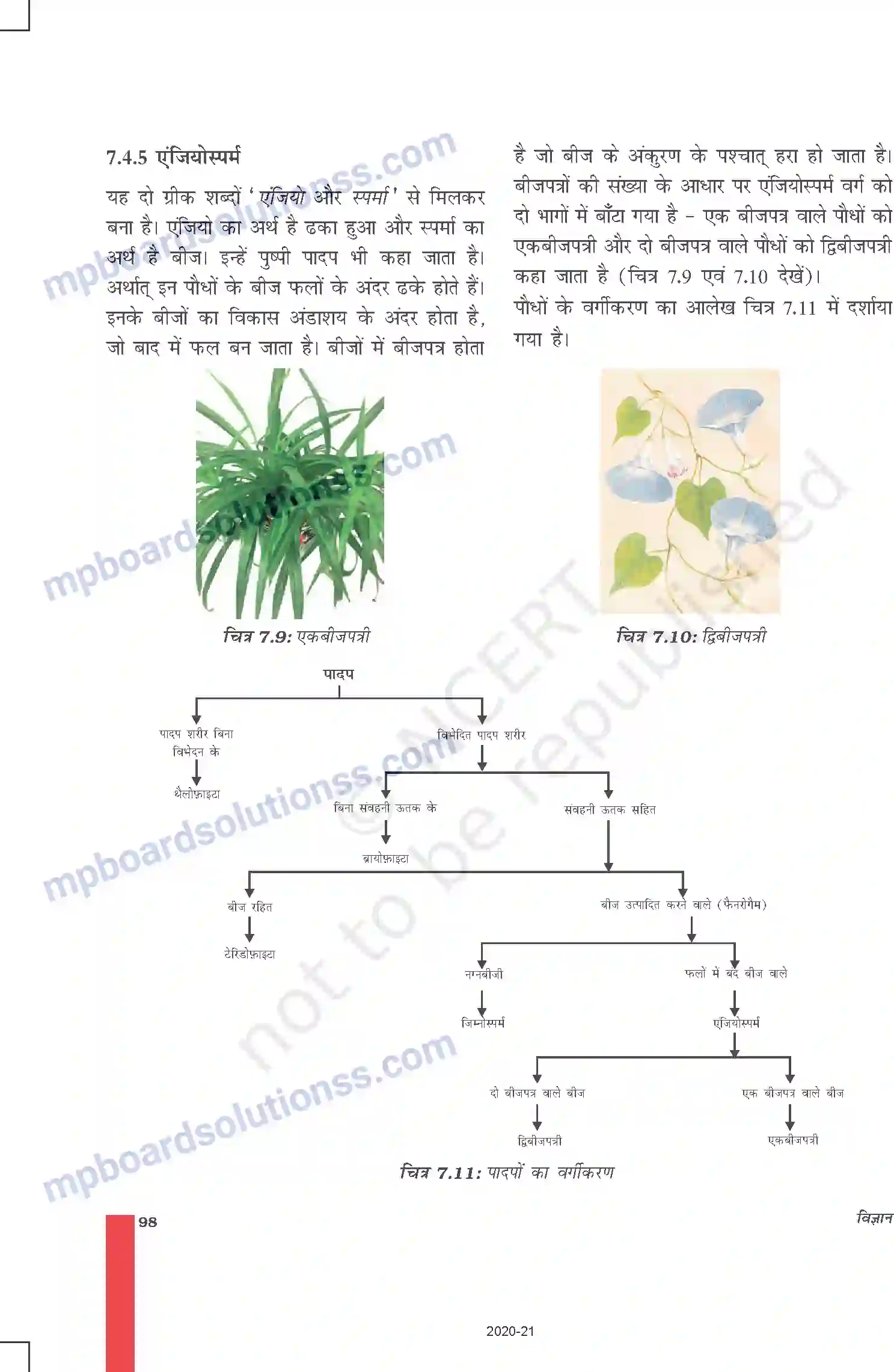 MP Board Book for Class 9 Science जीवों में विविधता Image 9