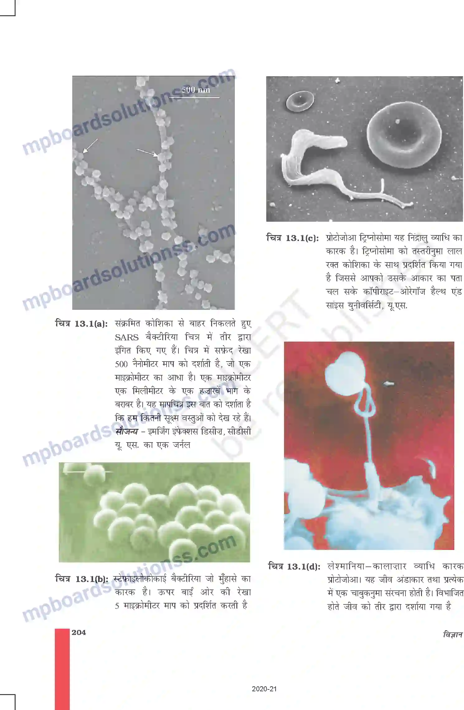 MP Board Book for Class 9 Science हम बीमार क्यों होते हैं Image 7