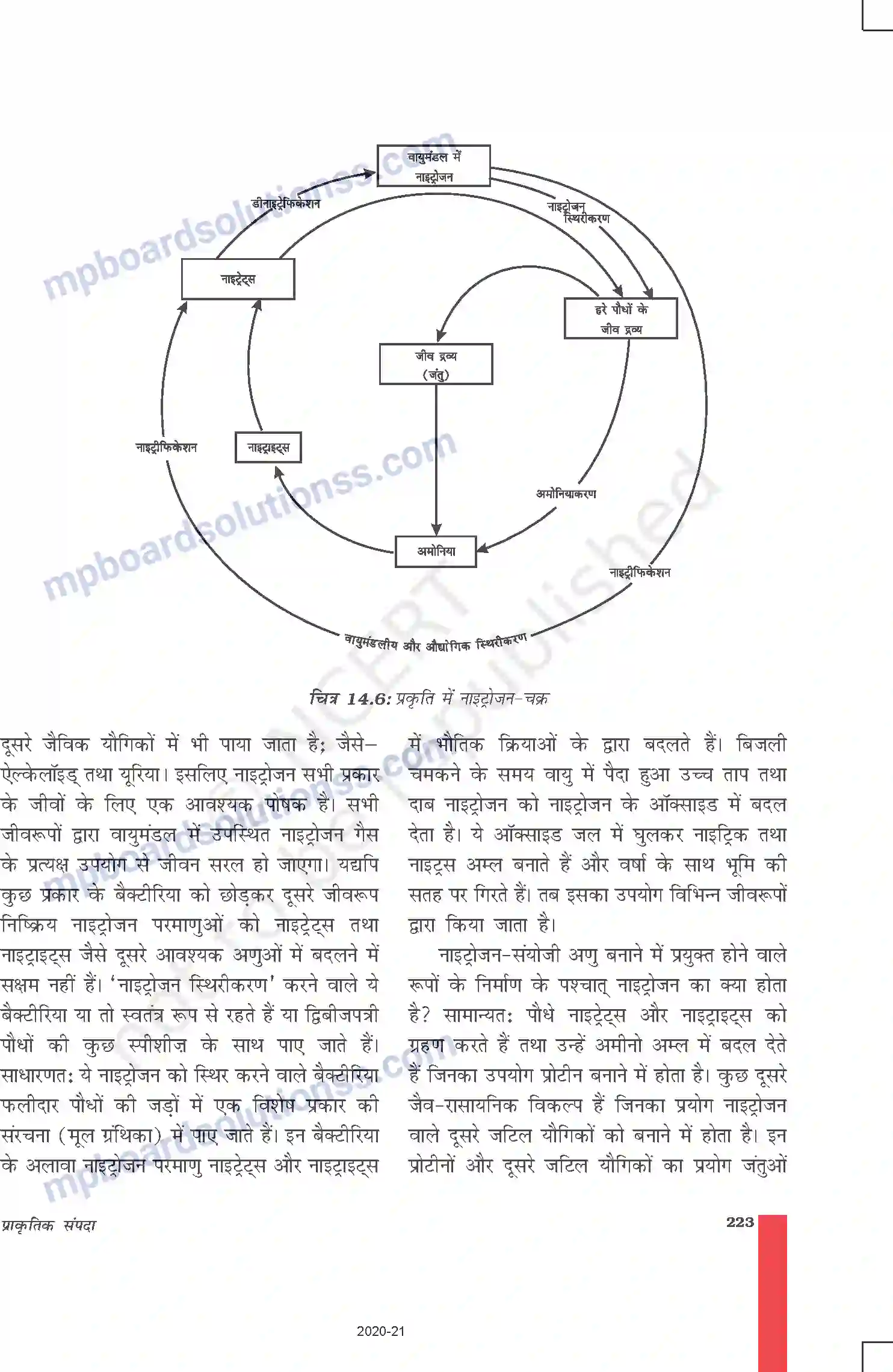 MP Board Book for Class 9 Science प्राकृतिक संपदा Image 11