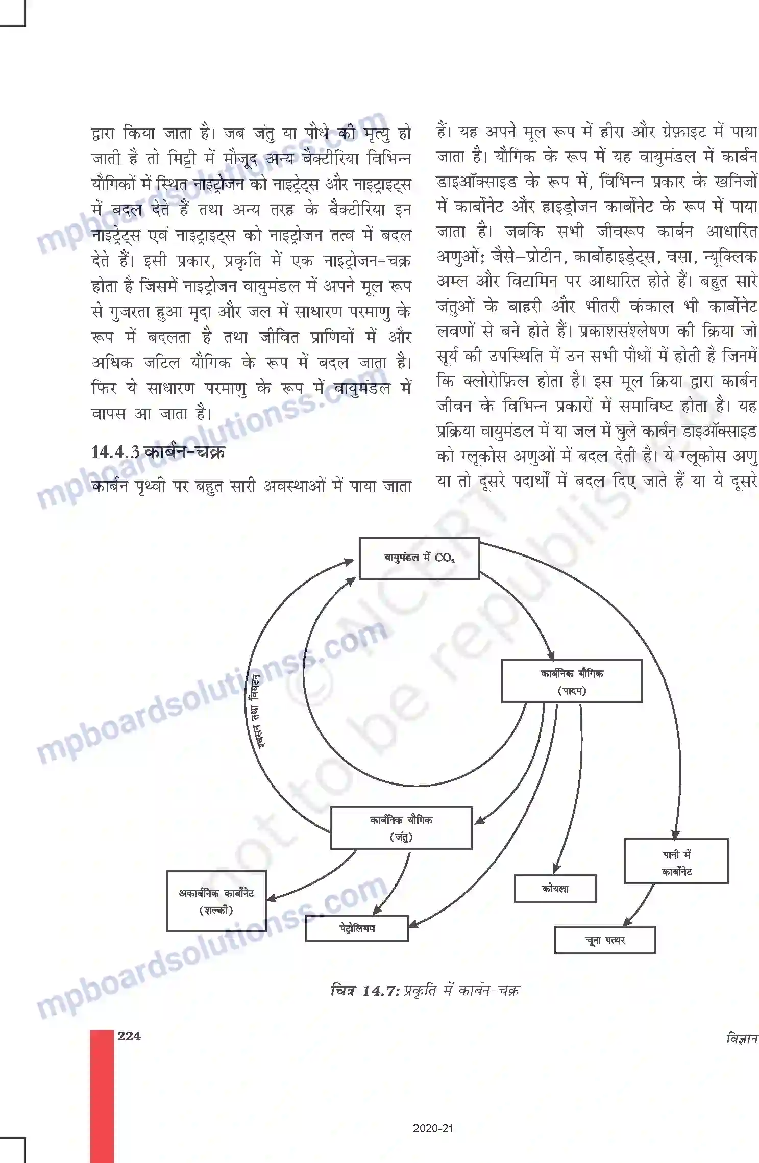 MP Board Book for Class 9 Science प्राकृतिक संपदा Image 12