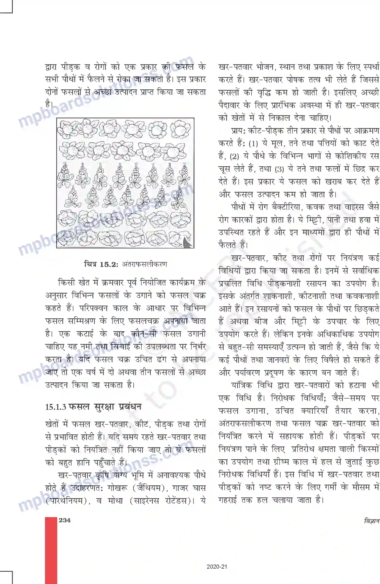 MP Board Book for Class 9 Science खाद्य संसाधनों में सुधार Image 7