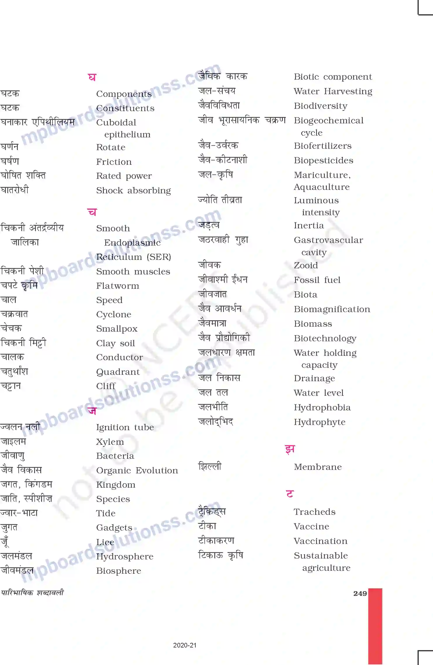 MP Board Book for Class 9 Science पारिभाषिक शब्दावली Image 5