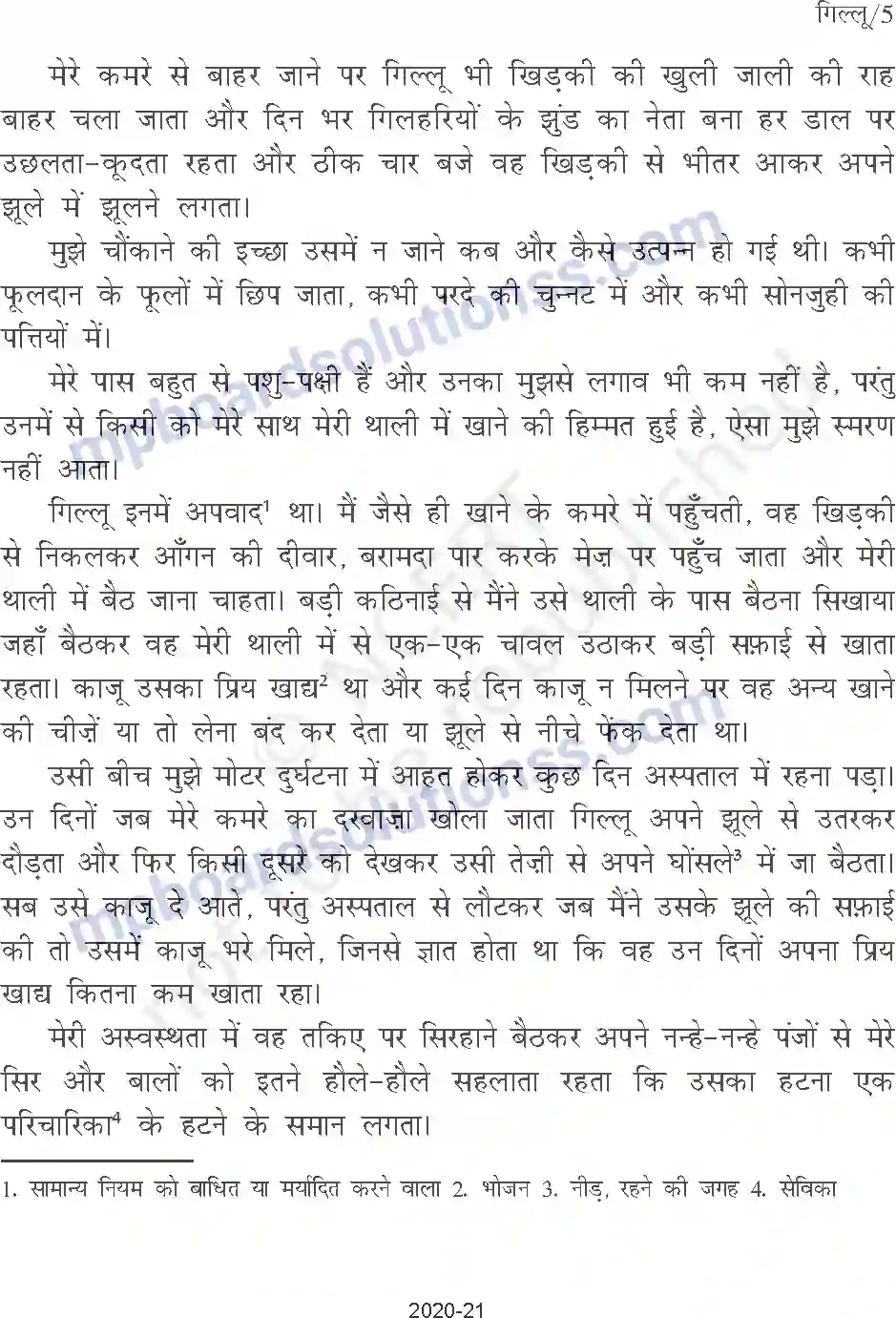MP Board Book for Class 9 Hindi गिल्लू Image 5