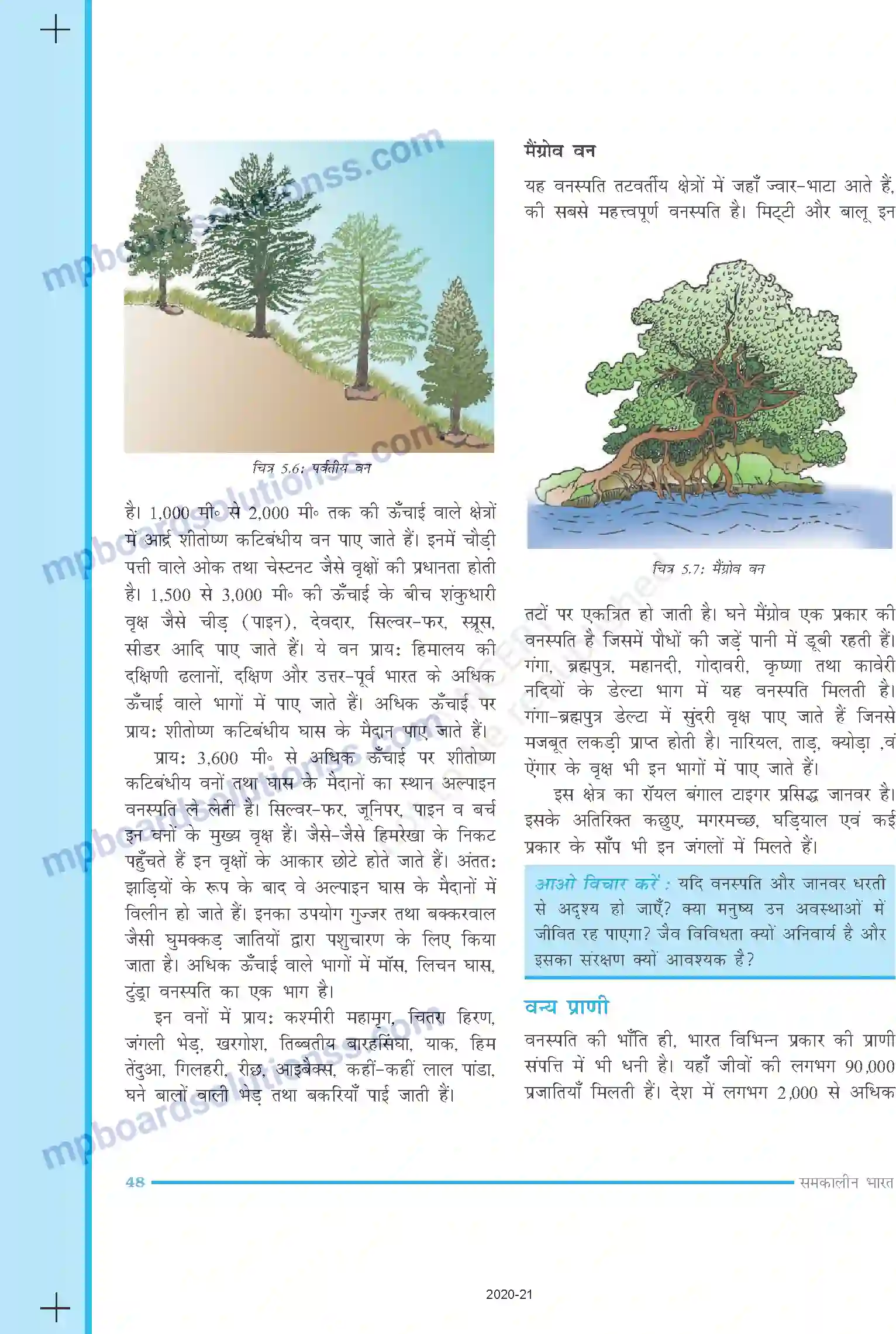 MP Board Book for Class 9 Social Science प्राकृतिक वनस्पति तथा वन्य प्राणी Image 6