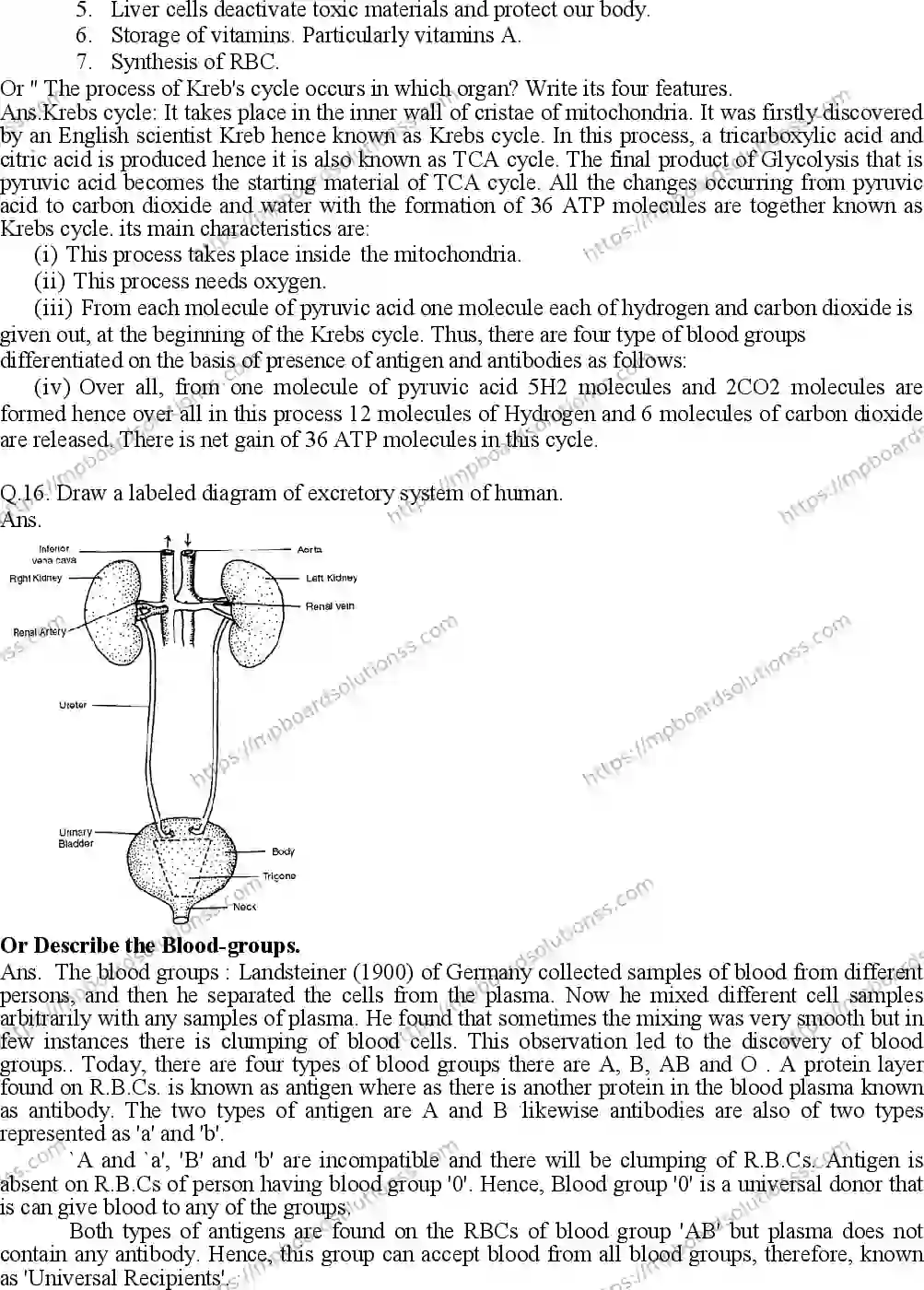 MP Board Class 10 Science EM With Answer-134750 Final Paper 2015 Image 7