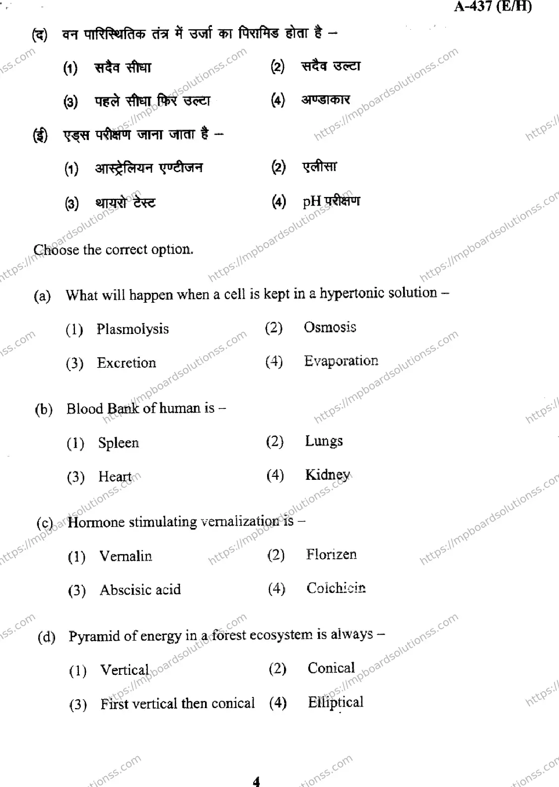 MP Board Class 12 Biology EH-885872 Final Paper 2017 Image 4
