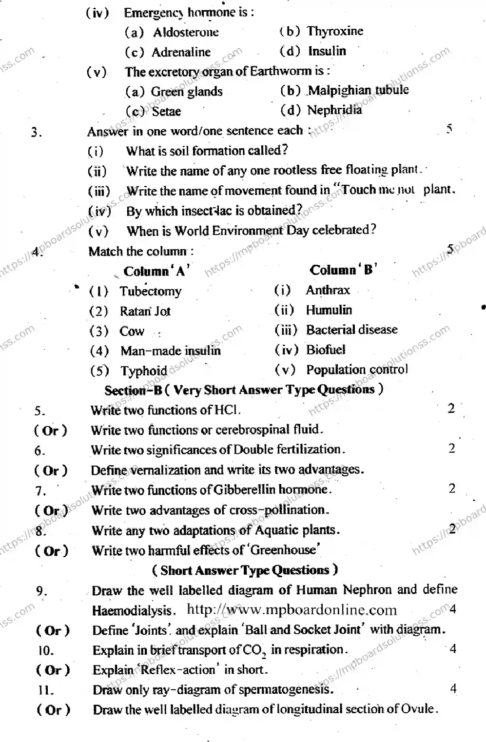 MP Board Class 12 Biology EM-283463 Final Paper 2014 Image 2