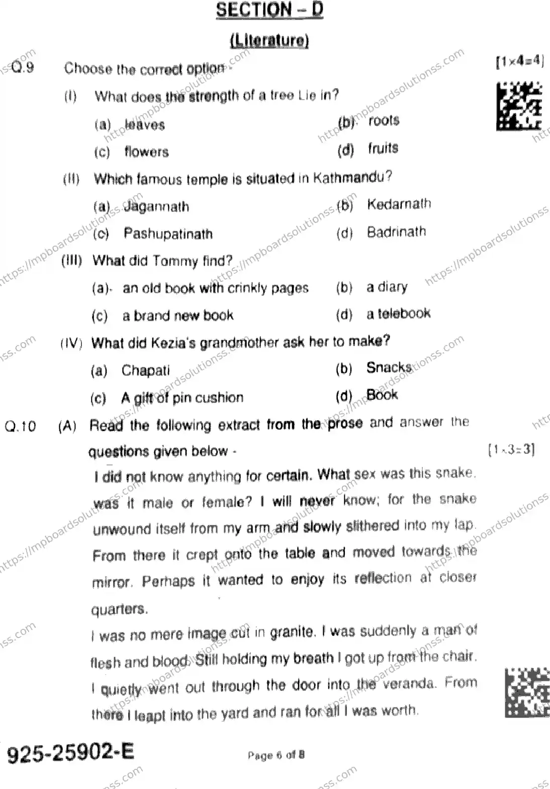 MP Board Class 9 English-882804 Final Paper 2025 Image 6