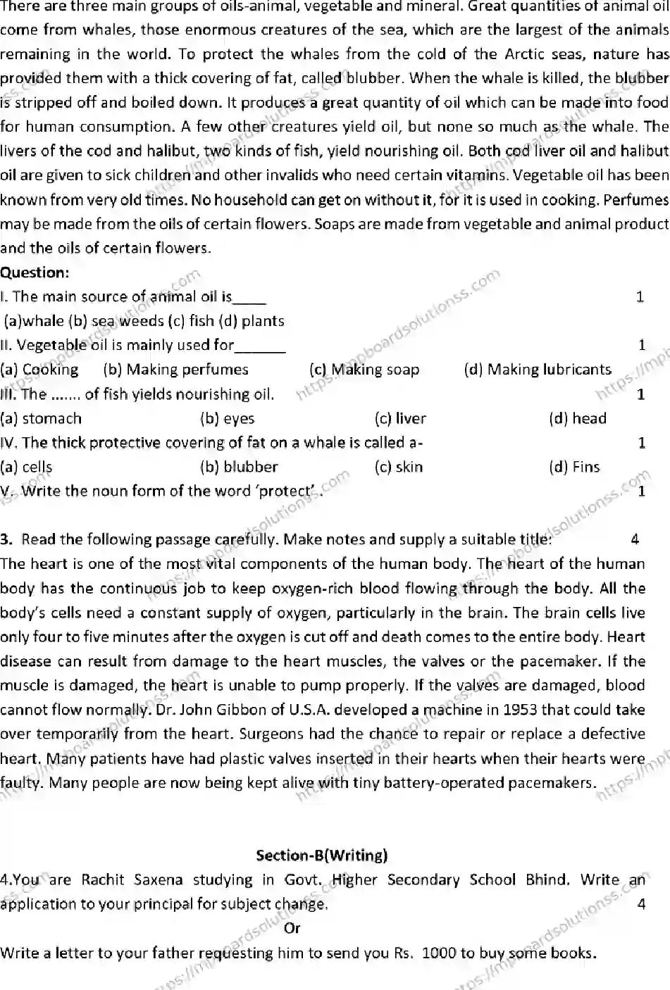 MP Board CLASS 10 ENGLISH-SET-B 2023 Sample Paper Image 2