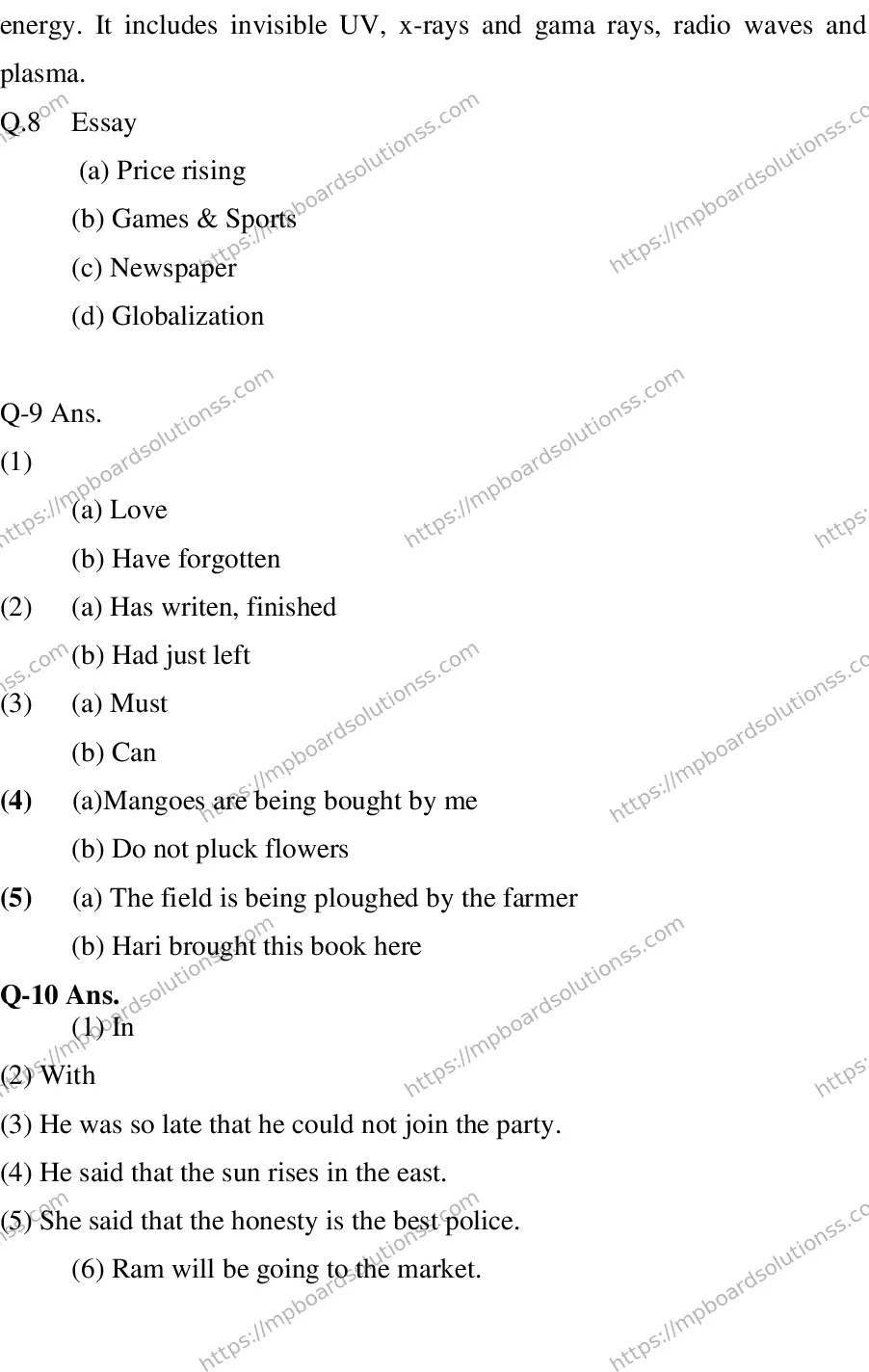 MP Board CLASS 10 ENGLISH-SPECIAL-LANGUAGE-SET-2-3 0002 Sample Paper Image 15