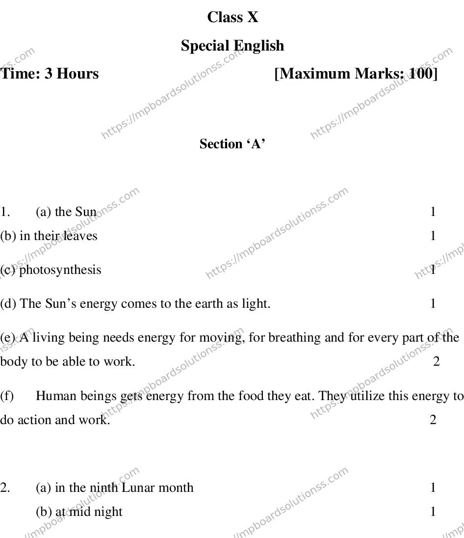MP Board CLASS 10 ENGLISH-SPECIAL-LANGUAGE-SET-3-3 2013 Sample Paper Image 11