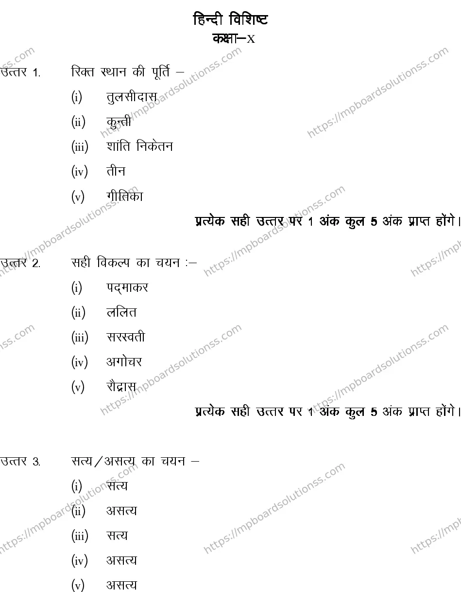 MP Board CLASS 10 HINDI-SPECIAL-LANGUAGE-SET-1-3 2013 Sample Paper Image 10