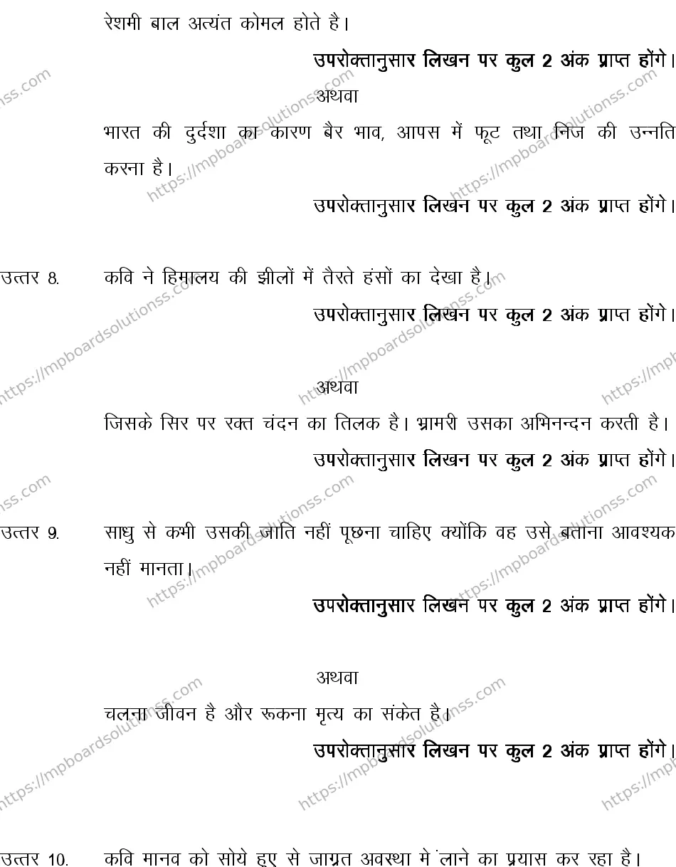 MP Board CLASS 10 HINDI-SPECIAL-LANGUAGE-SET-2-3 2013 Sample Paper Image 11
