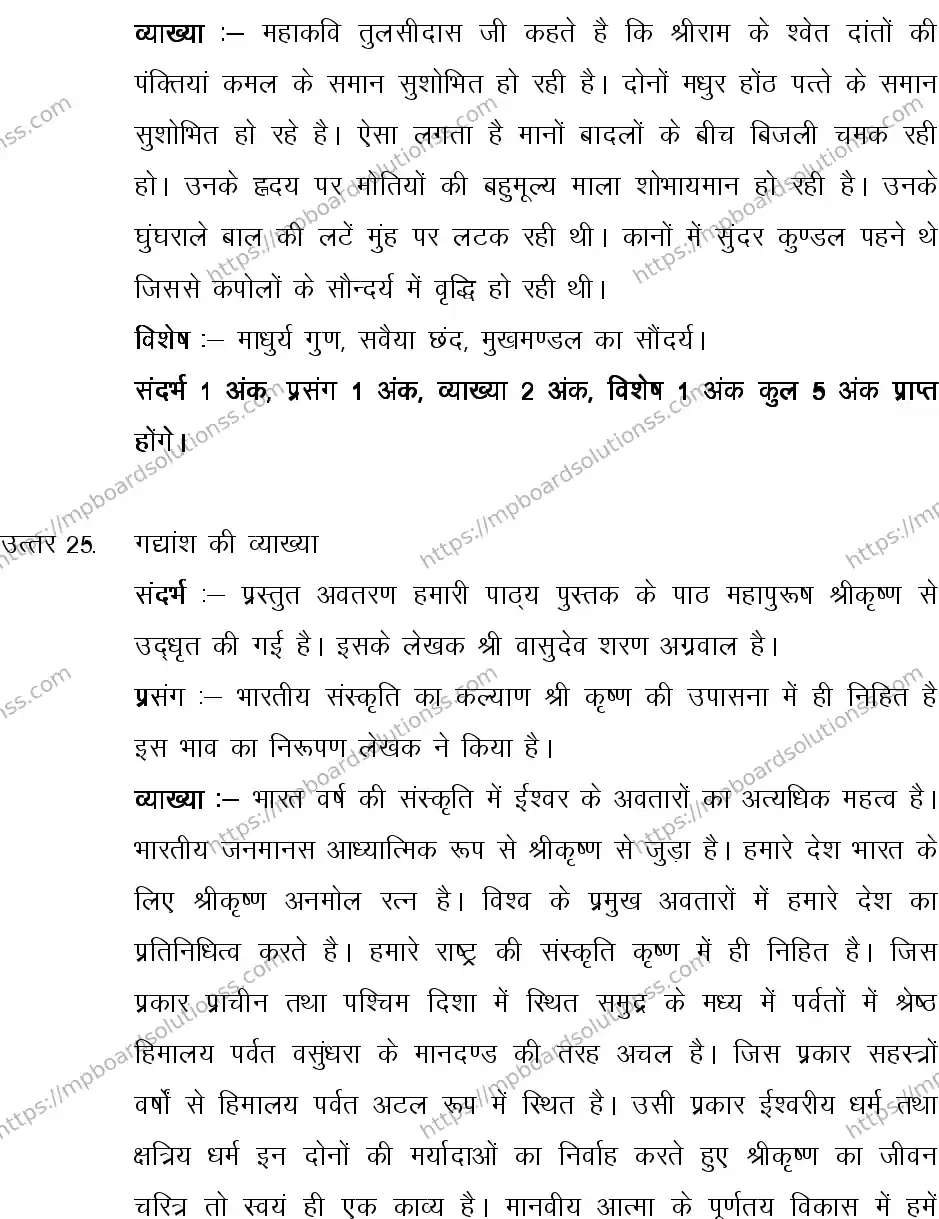 MP Board CLASS 10 HINDI-SPECIAL-LANGUAGE-SET-2-3 2013 Sample Paper Image 20