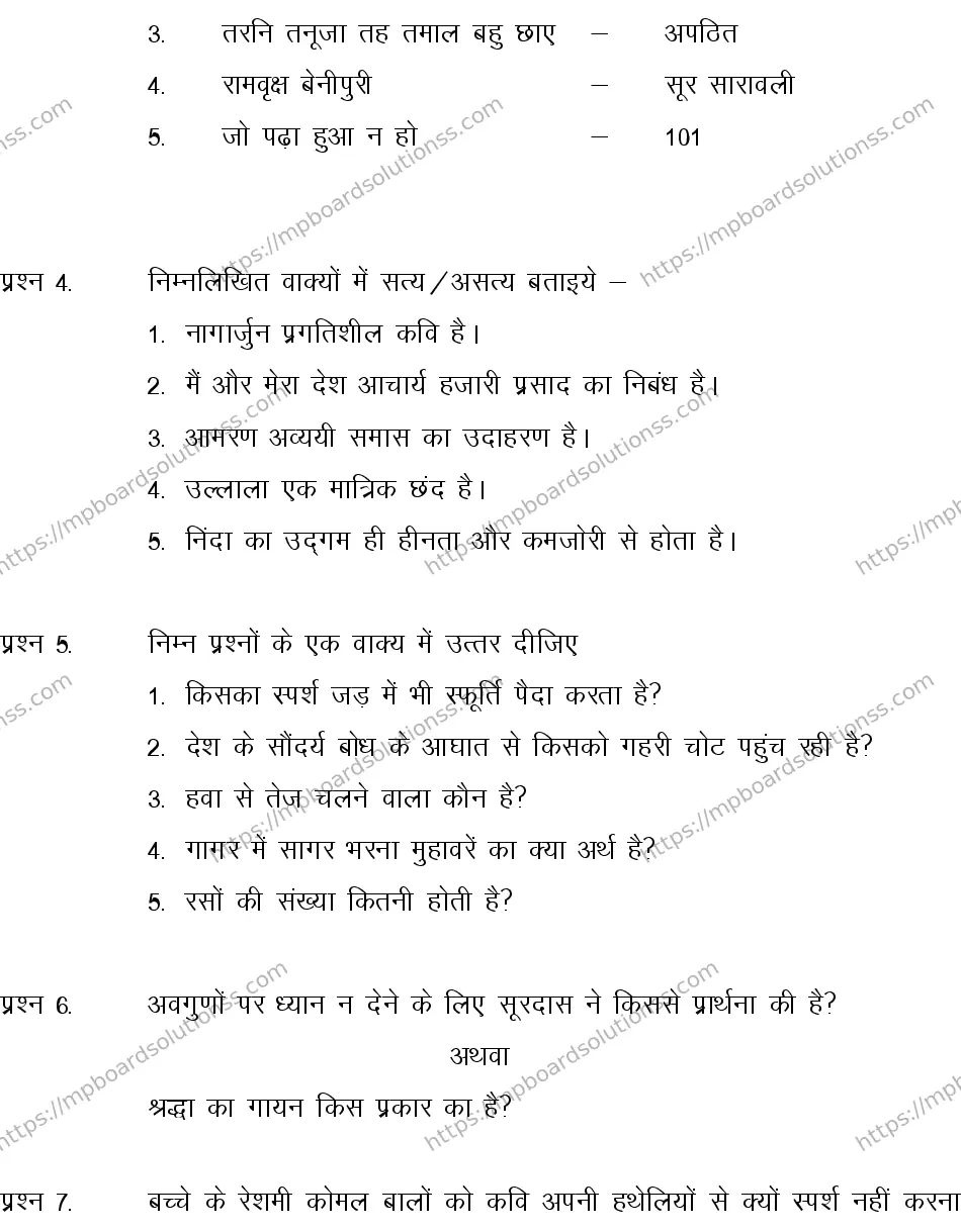 MP Board CLASS 10 HINDI-SPECIAL-LANGUAGE-SET-2-3 2013 Sample Paper Image 3