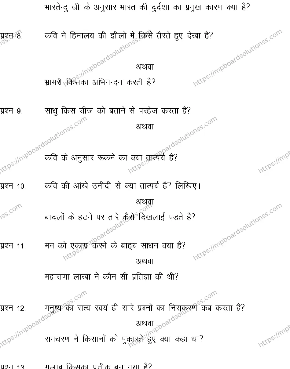 MP Board CLASS 10 HINDI-SPECIAL-LANGUAGE-SET-2-3 2013 Sample Paper Image 4