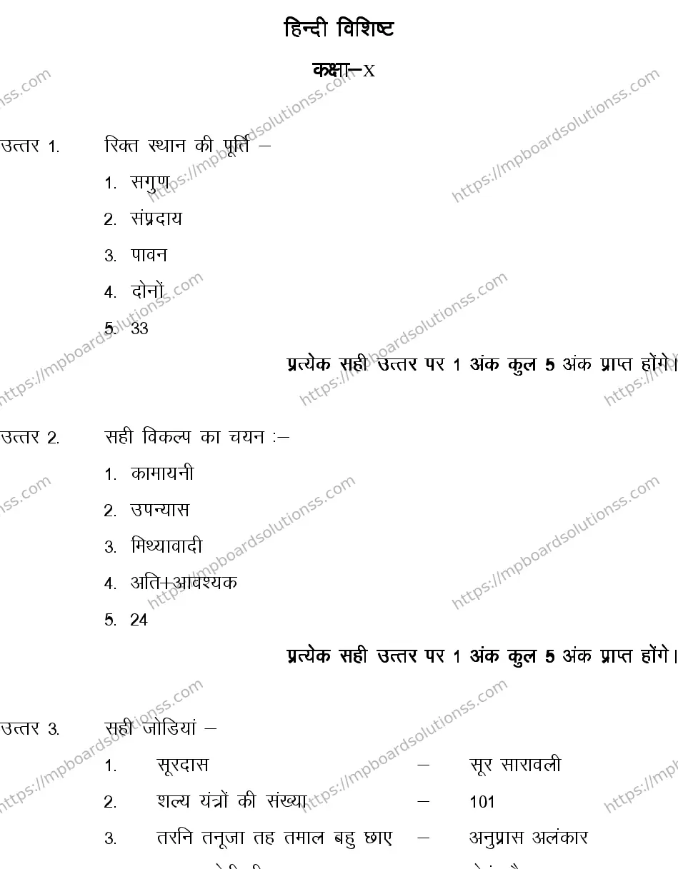 MP Board CLASS 10 HINDI-SPECIAL-LANGUAGE-SET-2-3 2013 Sample Paper Image 9