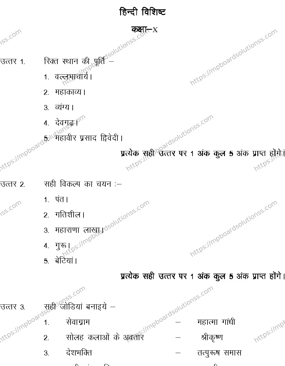 MP Board CLASS 10 HINDI-SPECIAL-LANGUAGE-SET-4-3 2013 Sample Paper Image 10