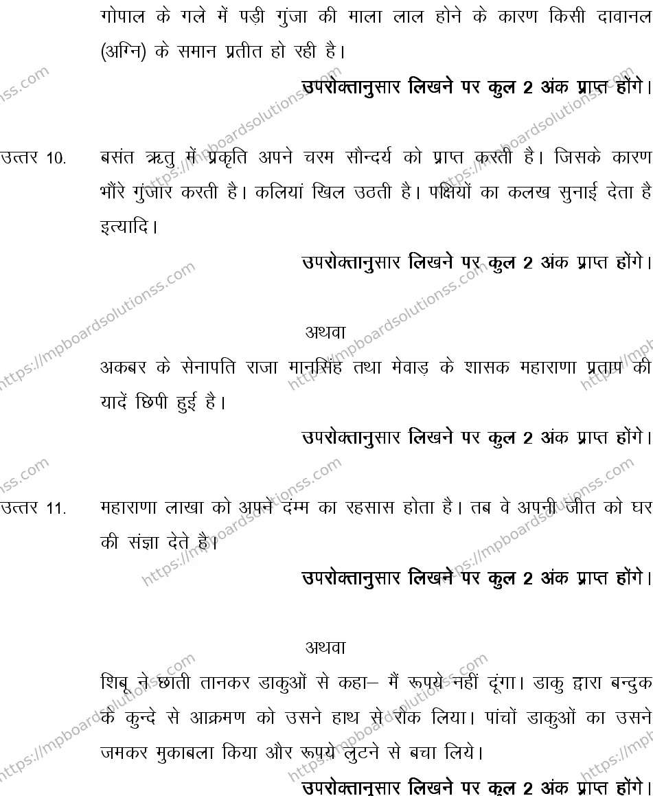 MP Board CLASS 10 HINDI-SPECIAL-LANGUAGE-SET-4-3 2013 Sample Paper Image 13