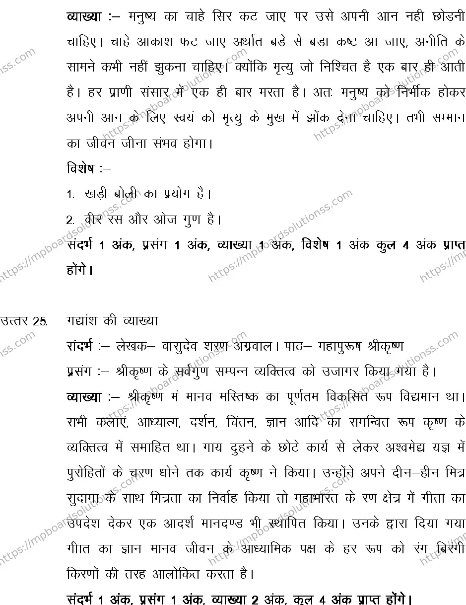 MP Board CLASS 10 HINDI-SPECIAL-LANGUAGE-SET-4-3 2013 Sample Paper Image 22