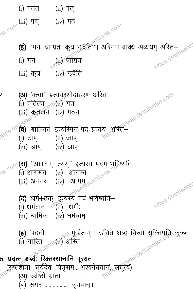MP Board CLASS 10 SANSKRIT-GENERAL-LANGUAGE-SET-2-3 2014 Sample Paper Image 3