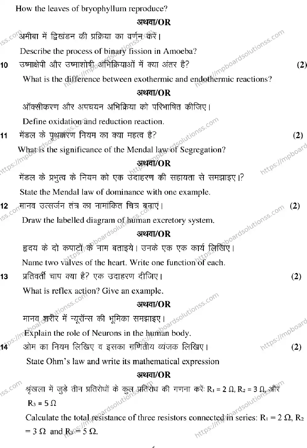 MP Board CLASS 10 SCIENCE 2025 Sample Paper Image 6