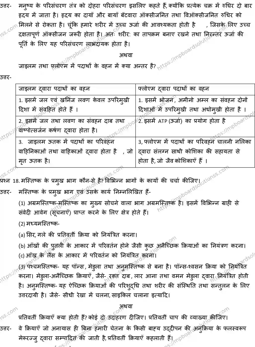 MP Board CLASS 10 SCIENCE-WITH-ANSWER-4 2019 Sample Paper Image 10