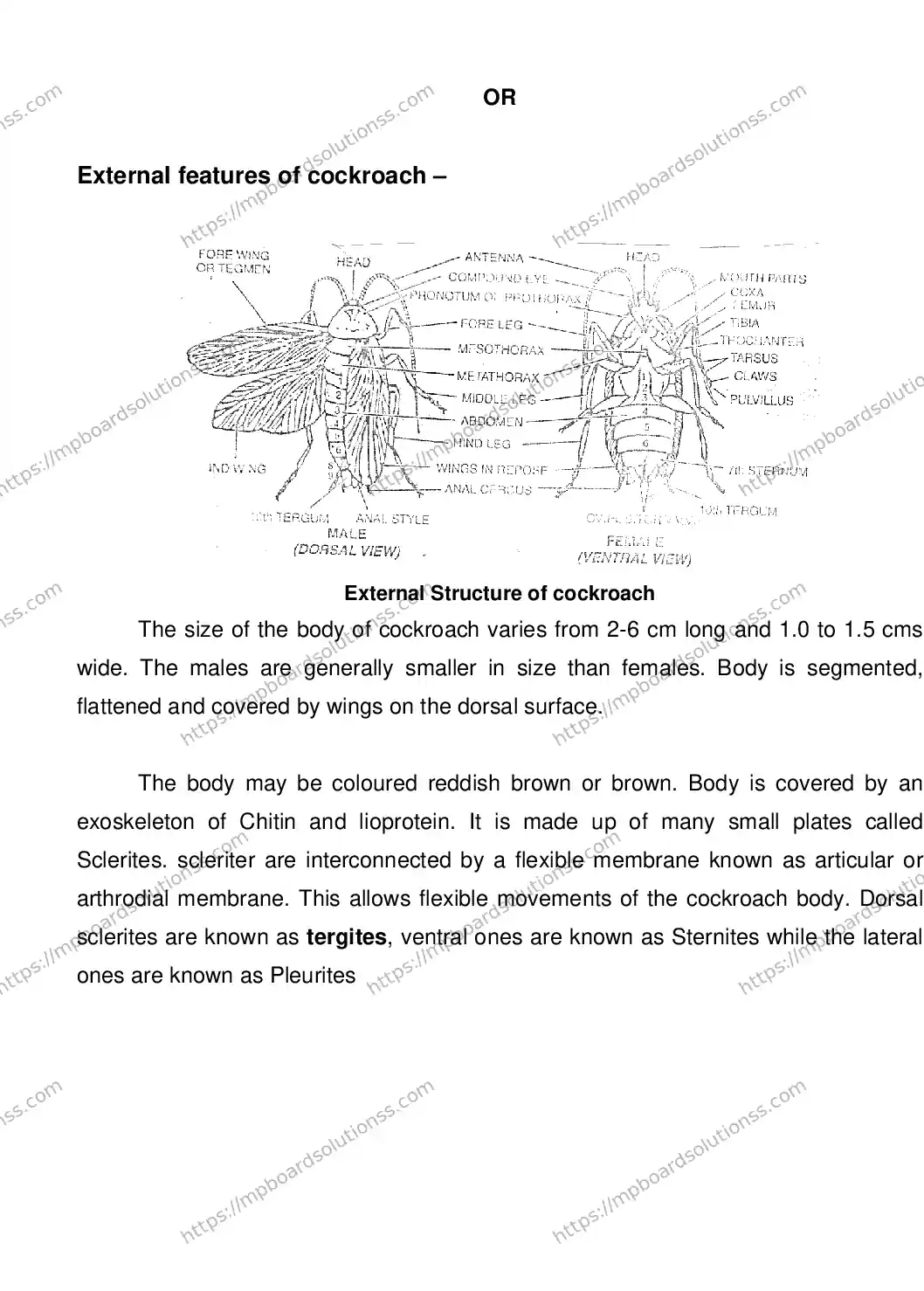 MP Board CLASS 11 BIOLOGY 2018 Sample Paper Image 54