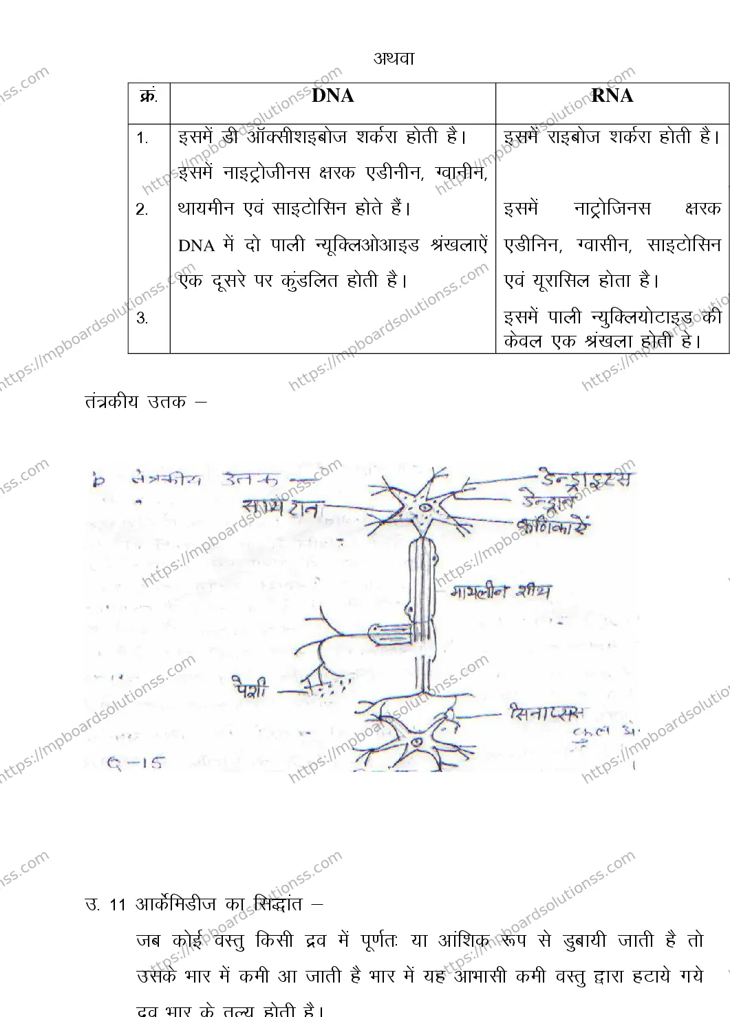MP Board CLASS 11 ELEMENT-OF-SCIENCE 2018 Sample Paper Image 15