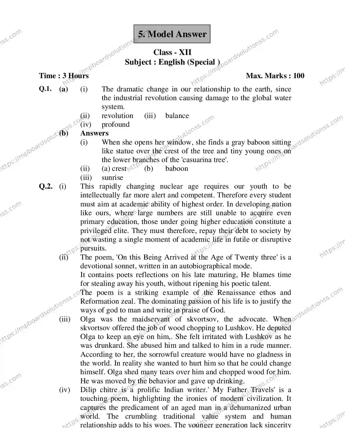 MP Board Class 12 ENGLISH-SPECIAL-356565 2018 Sample Paper Image 13