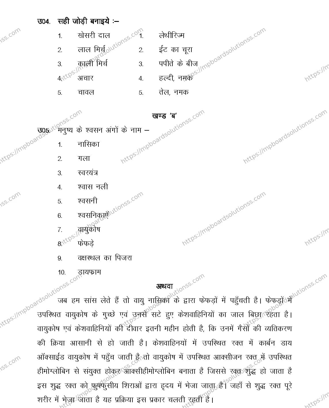 MP Board Class 12 HOME-SCIENCE-356570 2018 Sample Paper Image 8