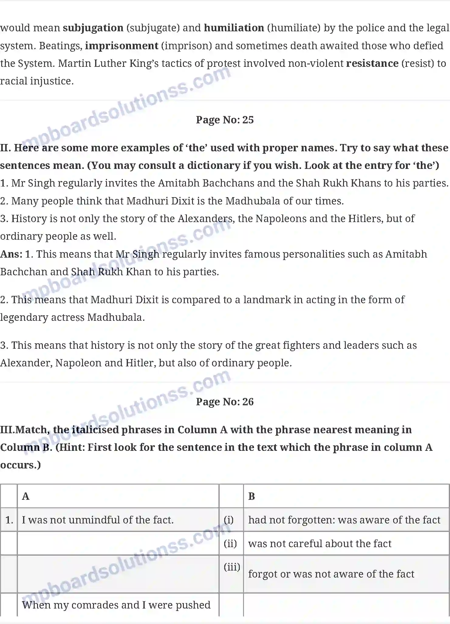 MP Board Book for Class 10 English Long Walk To Freedom Image 7