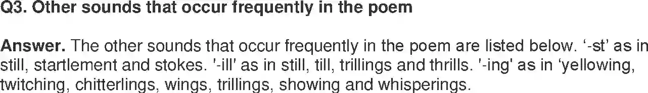 MP Board Book for Class 11 English Discovering Tut The Saga Continues Image 6