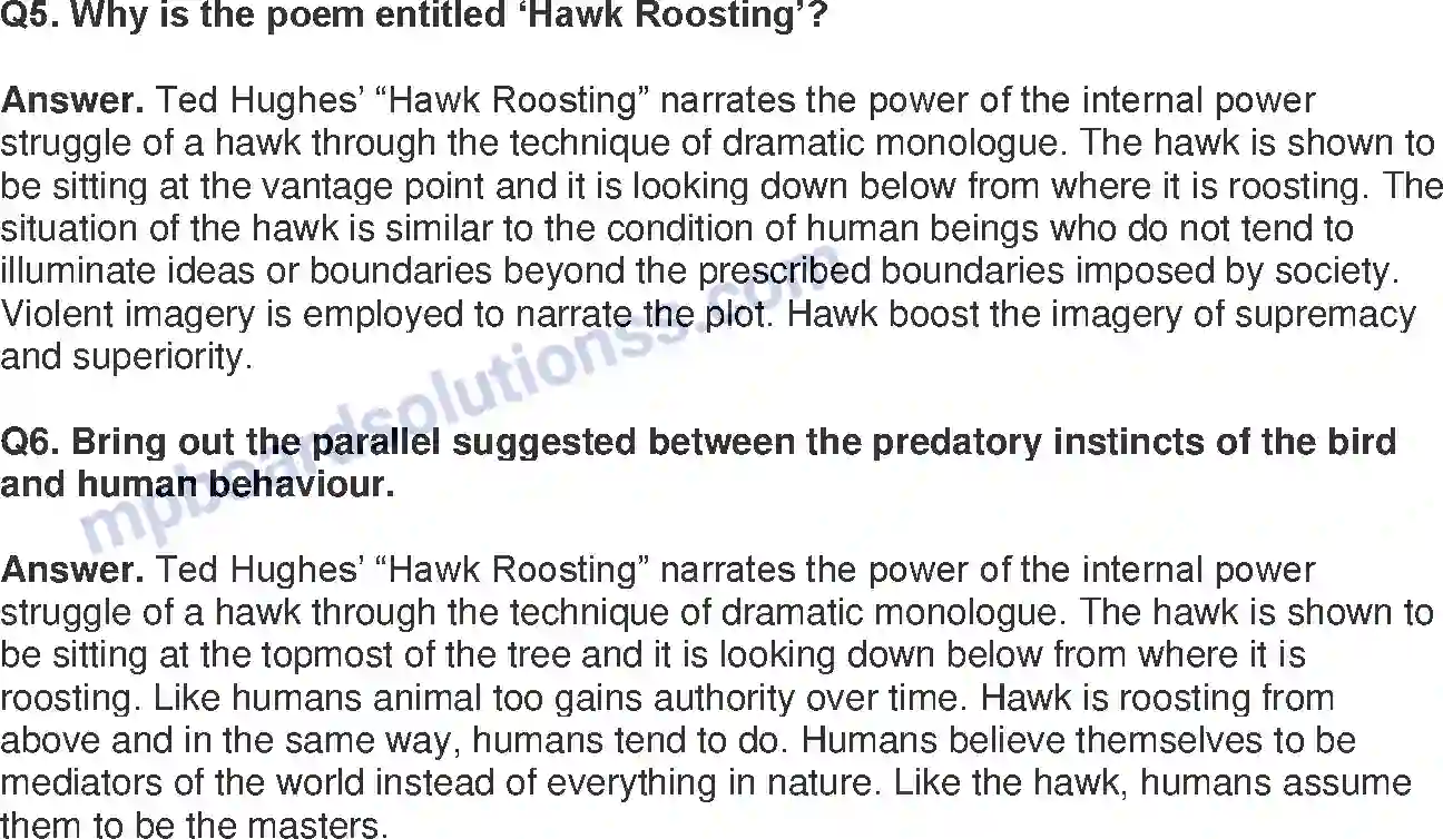 MP Board Book for Class 11 English Hawk Roosting - (Poetry) Image 2