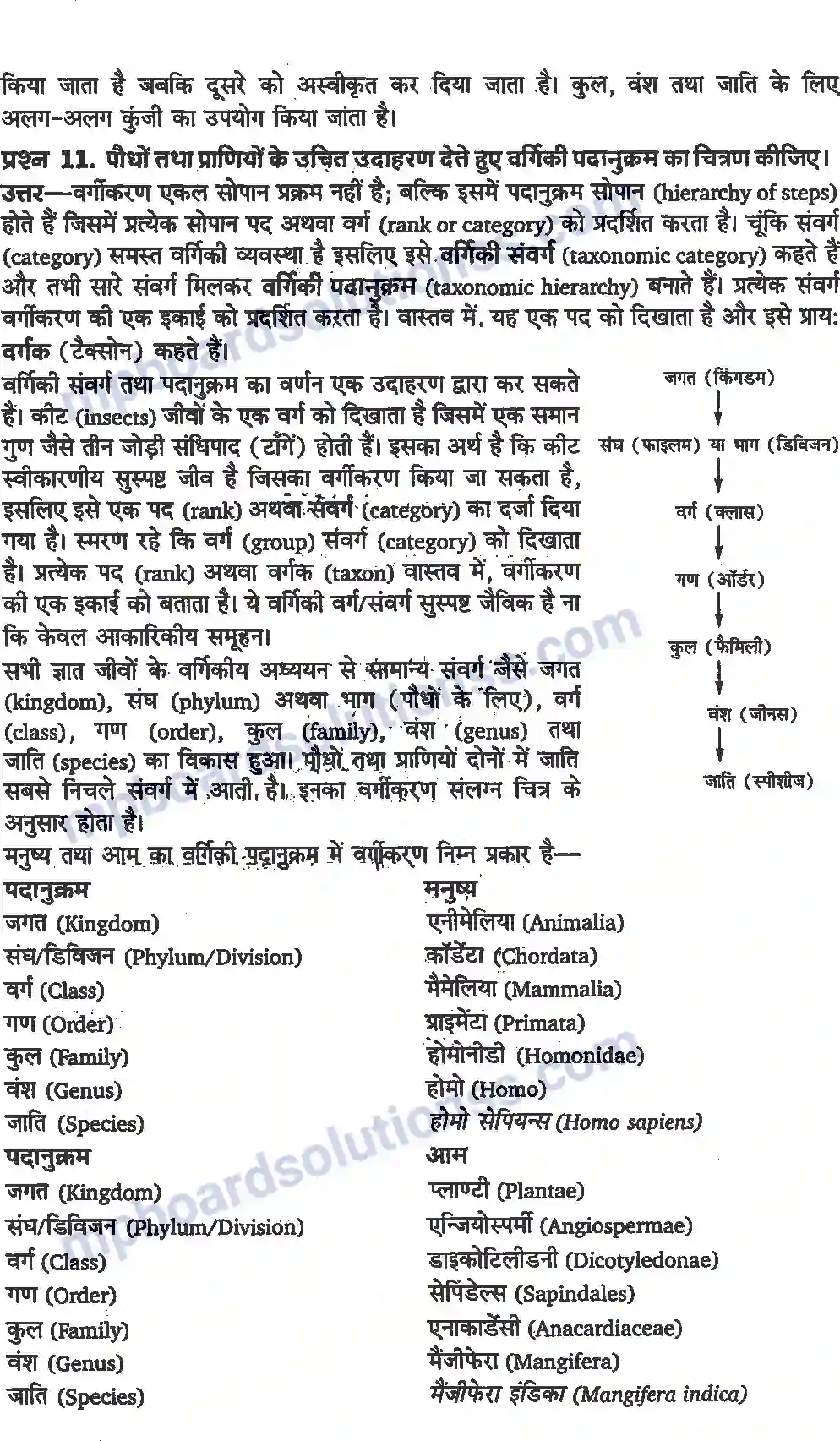 MP Board Book for Class 11 Biology जीव जगत Image 4