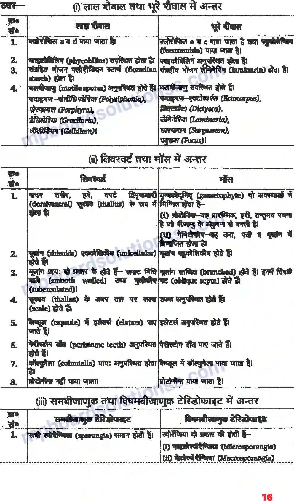 MP Board Book for Class 11 Biology वनस्पति जगत Image 5