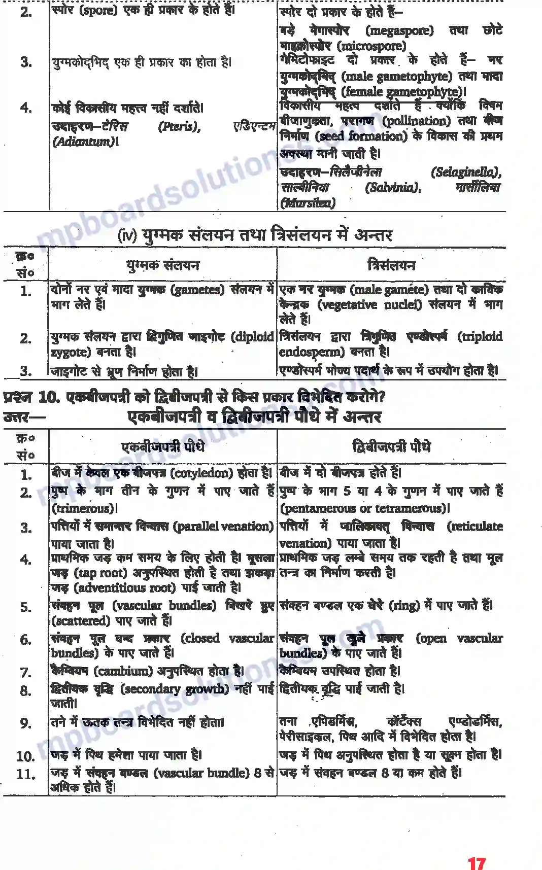 MP Board Book for Class 11 Biology वनस्पति जगत Image 6