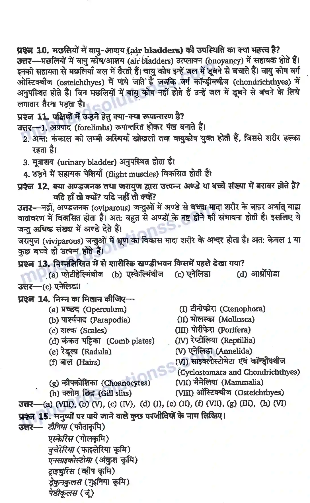 MP Board Book for Class 11 Biology प्राणि जगत Image 3