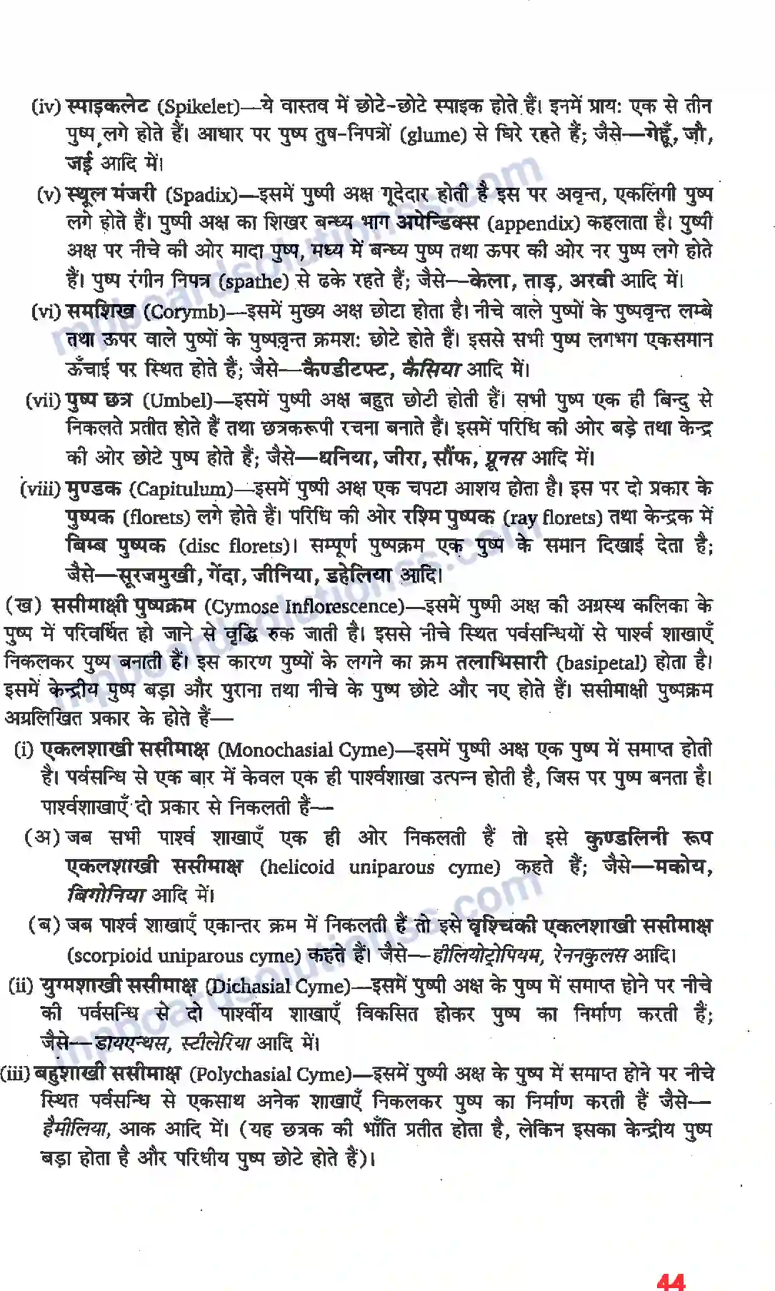 MP Board Book for Class 11 Biology पुष्पी पादपों की आकारिकी Image 22