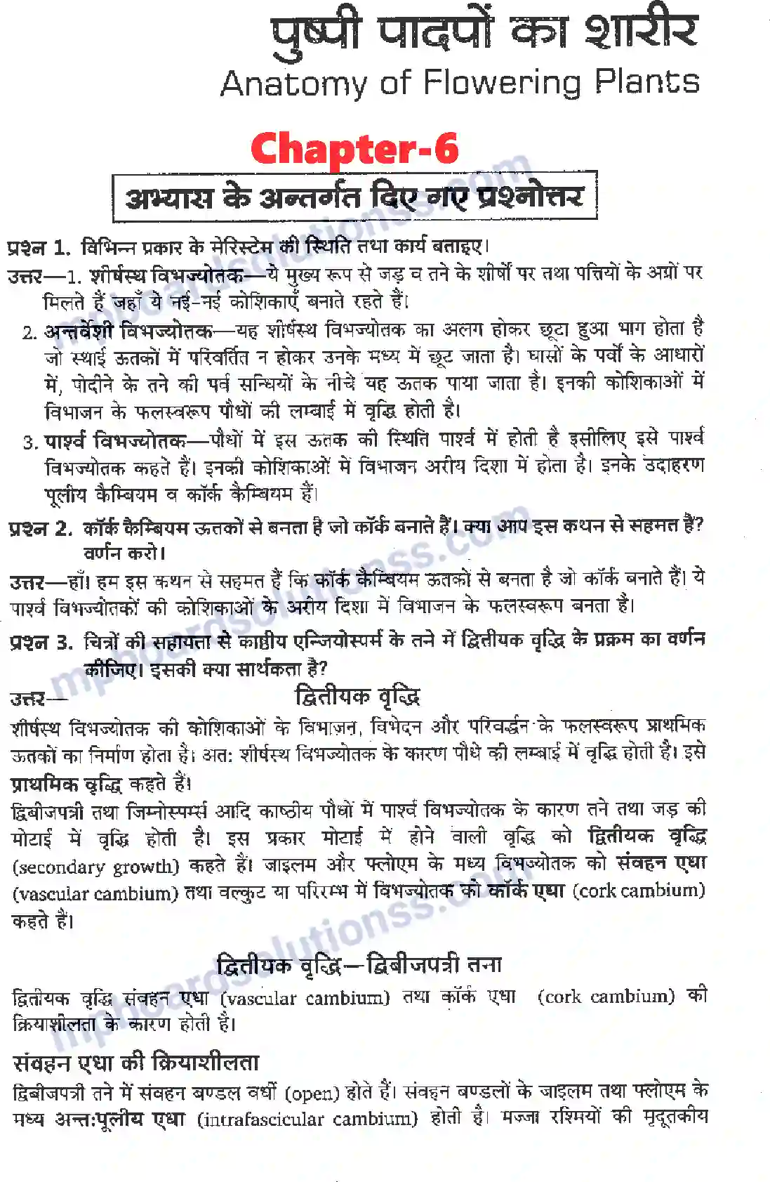 MP Board Book for Class 11 Biology पुष्पी पादपों का शारीर Image 1